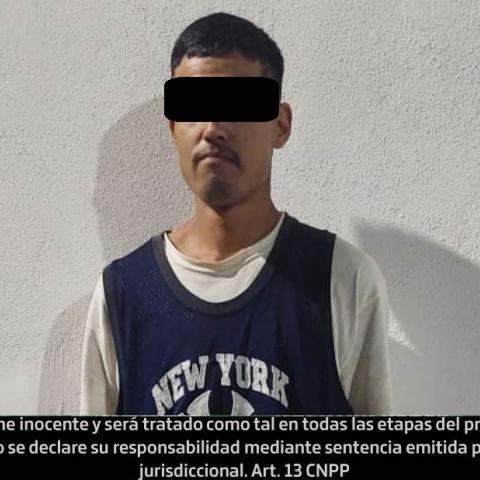 distribuidor