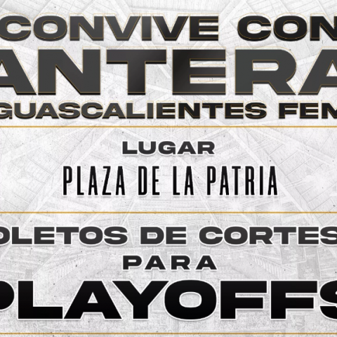 PANTERAS PLAYOFFS