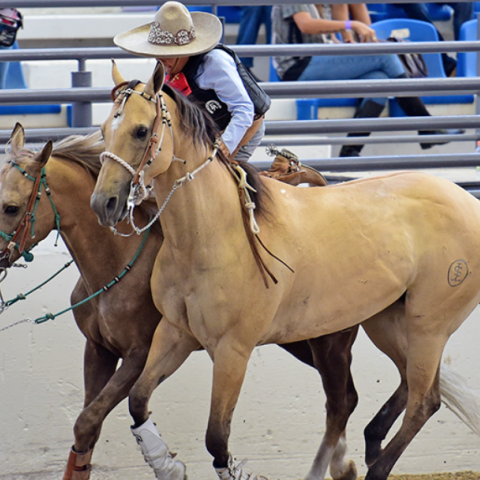 Campeonato Nacional Charro Infantil, Juvenil y Escaramuzas 2023