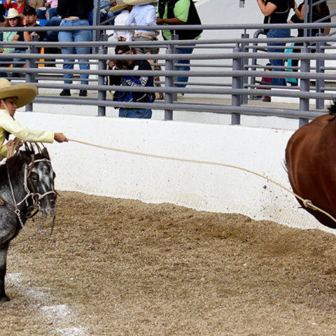 Final Charro Completo