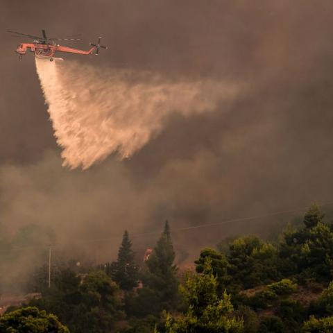Siguen activos incendios forestales en Italia y Grecia