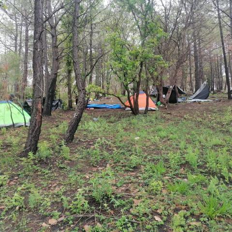 Localizan 4 cuerpos dentro de campamento de delincuentes en Michoacán