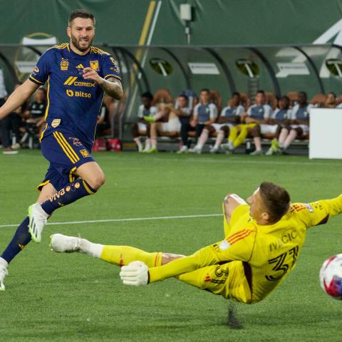 TIGRES VS TIMBERS