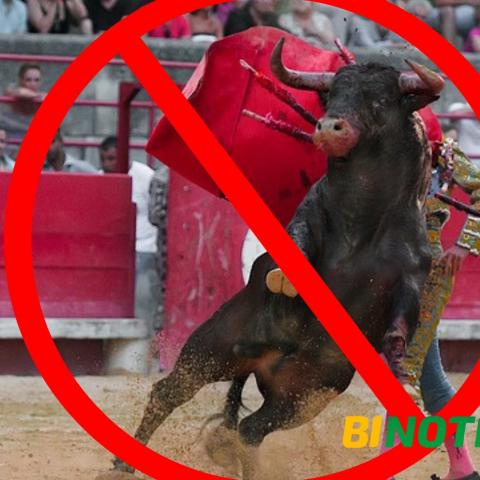 Por primera vez interponen amparo contra corridas de toros en Aguascalientes 