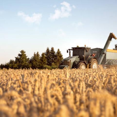 ONU pide a Rusia a retomar acuerdos del Mar Negro para la expropiación de cereales ucranianos