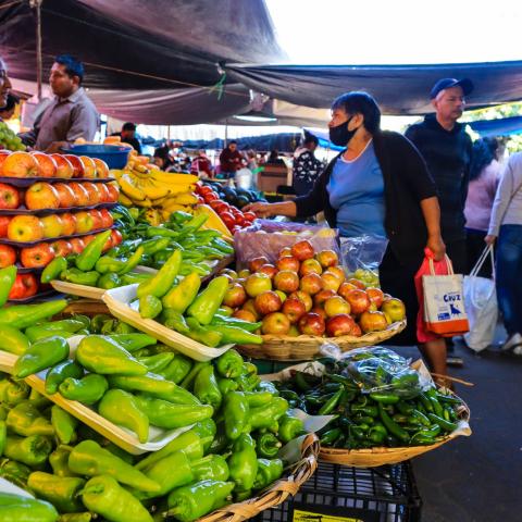 INEGI estima que el crecimiento económico fue de 4% en junio