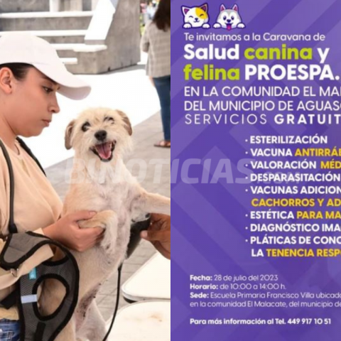 Hoy, servicios veterinarios gratuitos en la comunidad El Malacate
