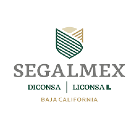 Segalmex