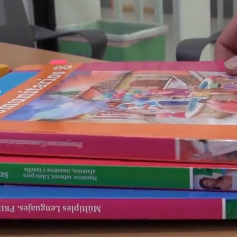Publica PAN formato para ampararse contra libros de texto de la SEP