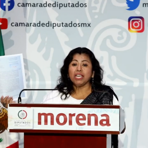 Diputada de Morena presenta denuncia por irregularidades en la Secretaría de Bienestar