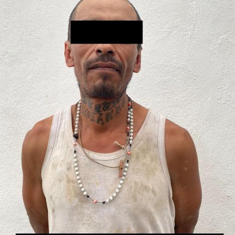 distribuidor