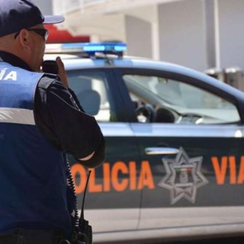 Seguridad Pública