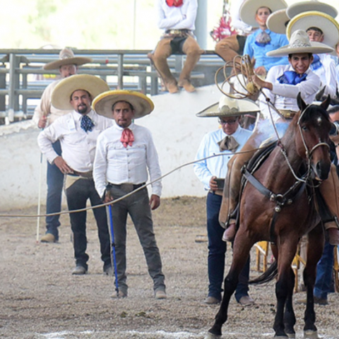 RANCHO EL PITAYO NACIONALITO CHARRO