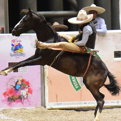 CHARROS JUVENILES