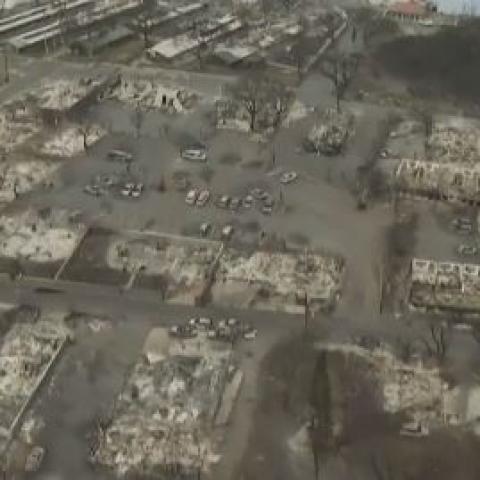 Devastación por incendios 