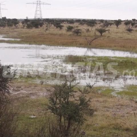 Cosío, Asientos, El Llano y San José de Gracia padecen la escasez de lluvia.