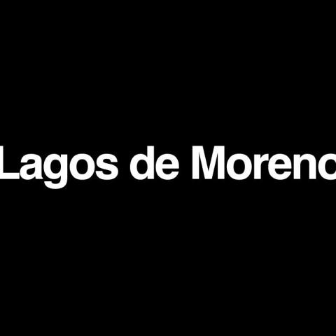 Políticos, ciudadanos y periodistas convocan al #LutoNacional por jóvenes desaparecidos en Lagos de Moreno