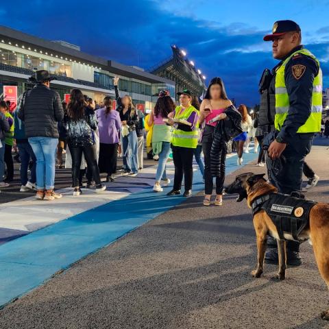 Hay siete detenidos en operativo de seguridad en concierto de Taylor Swift en la CDMX