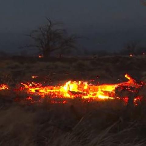 Incendio forestal 