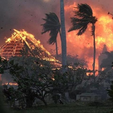 Hawaianos se están lanzando al océano para huir.