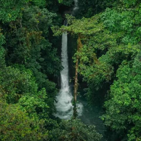 México amplía su patrimonio natural al designar 13 nuevas Áreas Naturales Protegidas