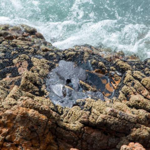 OEFA reporta residuos de petróleo en playas de Perú