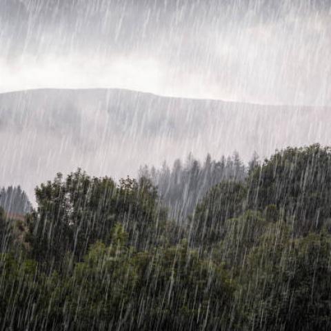 Declaran siete municipios de Veracruz como zonas de desastre por lluvias y deslaves