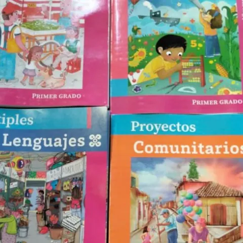 SNTE sale en defensa de los libros de texto, y pide que no haya violencia en la educación pública