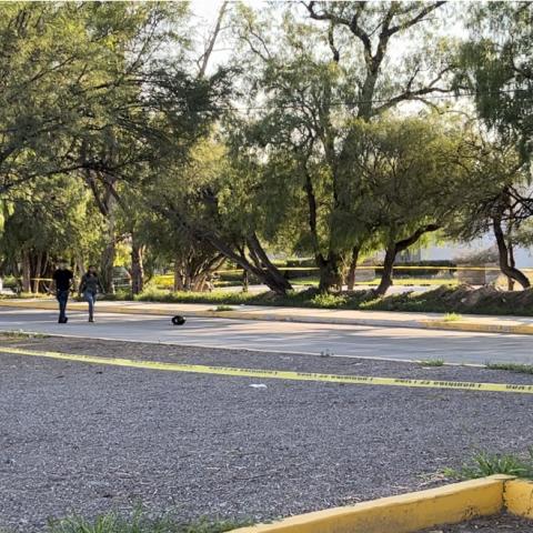 Muerto moto