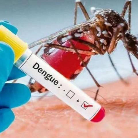 Dengue