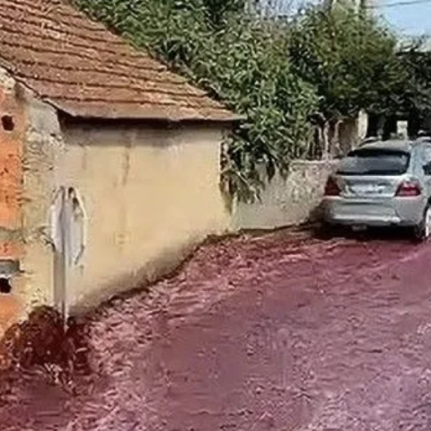 El sótano de una casa cercana a la destilería se inundó de vino. 