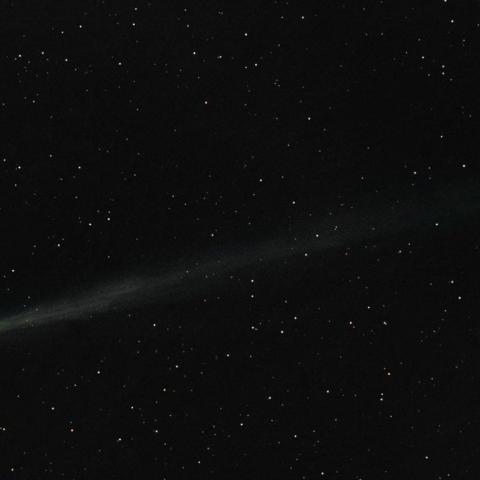 Cometa Nishimura