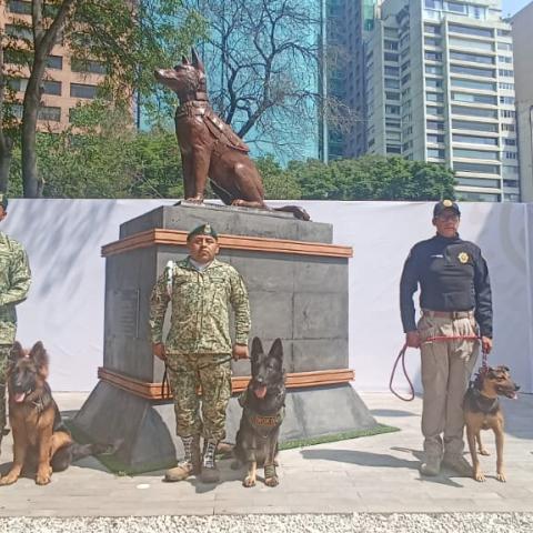 Inaugura Sedena monumento en honor a Proteo, el perro rescatista que murió en Turquía