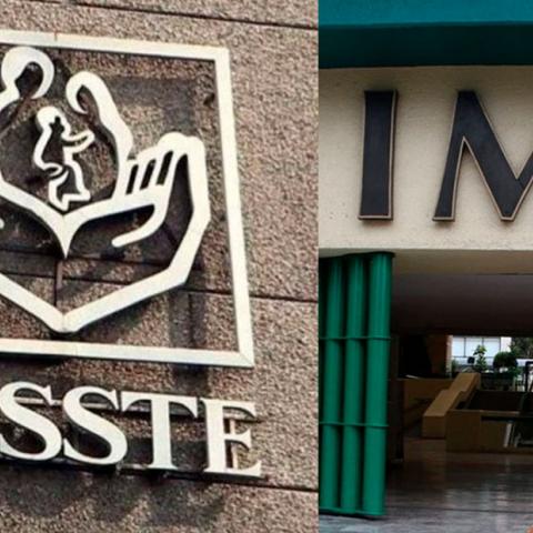 IMSS en Aguascalientes no tiene personal para practicar abortos 