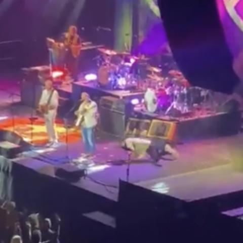 Ringo Starr sufre caída durante concierto en Nuevo México