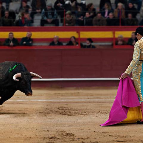 Suprema Corte analizará posible regreso de corridas de toros a la Plaza México