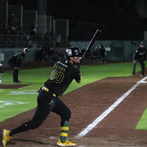 Algodoneros 2-8 Pericos