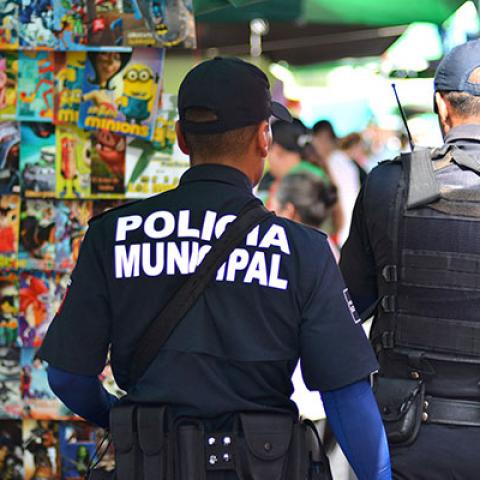 Seguridad Pública