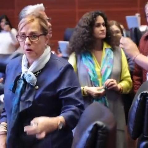 [VIDEO] Senadora Micher renuncia a Morena tras discusión sobre Ley de Ingresos