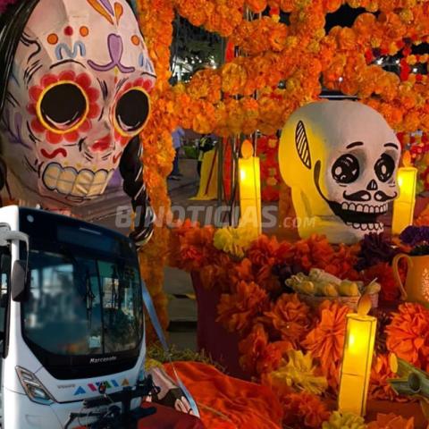 Durante Festival de Calaveras habrá transporte gratuito a la Isla San Marcos