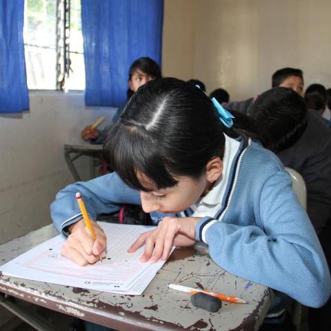 Niños de preescolar y 1°de primaria pasarán de grado solo con la asistencia