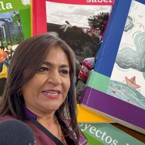Nora Ruvalcaba y libros de la SEP