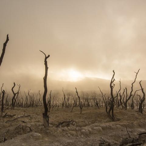 La Tierra registra el mes de septiembre más caluroso de la historia