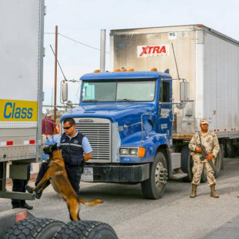 Autoridades mexicanas detienen a 315 traficantes de migrantes en lo que va del 2023