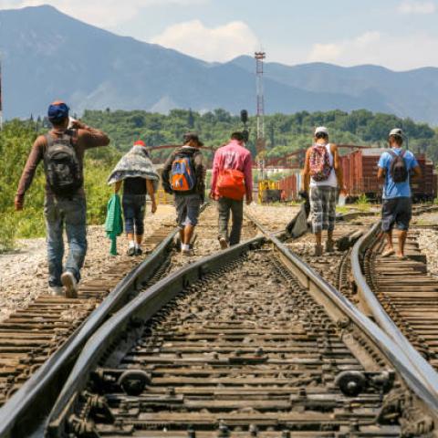Descarta titular del INM que migrantes sigan usando tren de carga para llegar a la frontera