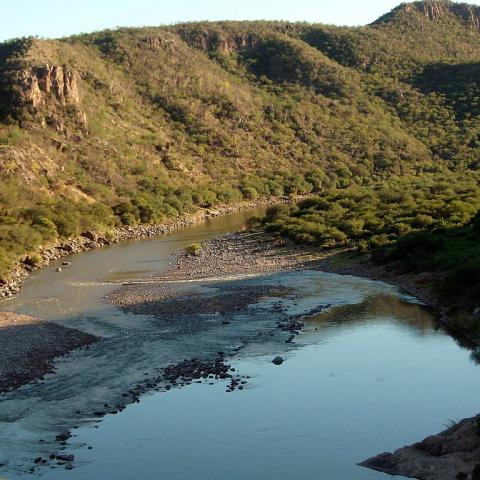 Río Sonora