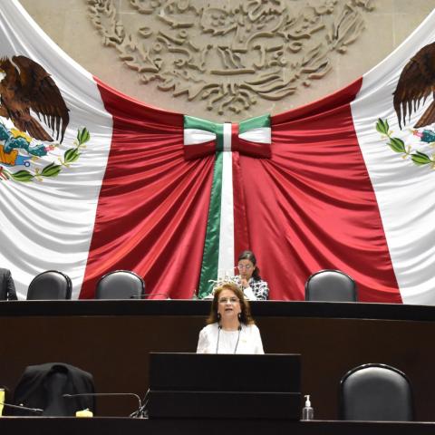 Aprueba Cámara de Diputados que IMSS reciba inmuebles como pago de cuotas obrero-patronales