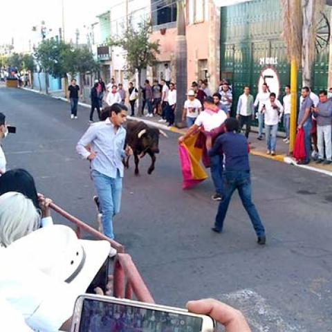 Seguridad Pública