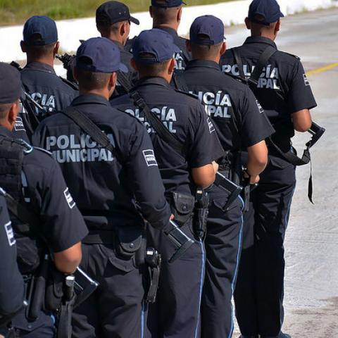 Seguridad Pública