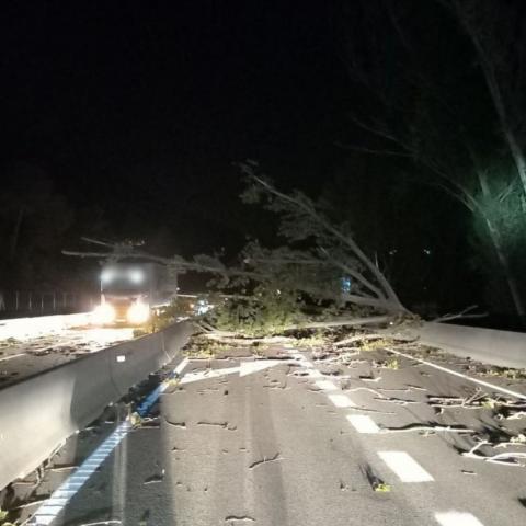 12 muertos en 6 países por la tormenta Ciarán